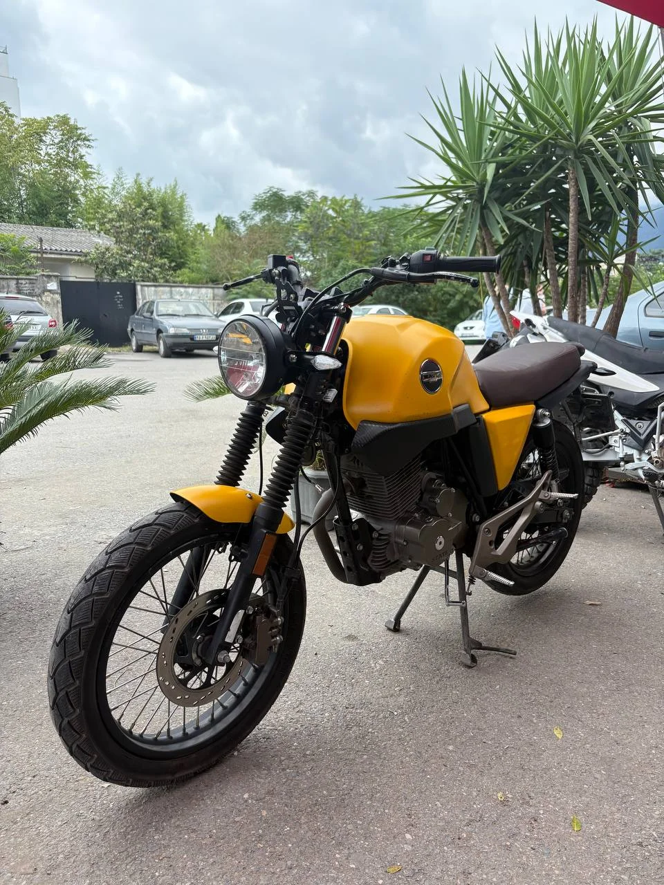 زونتس‏، N2 230‏