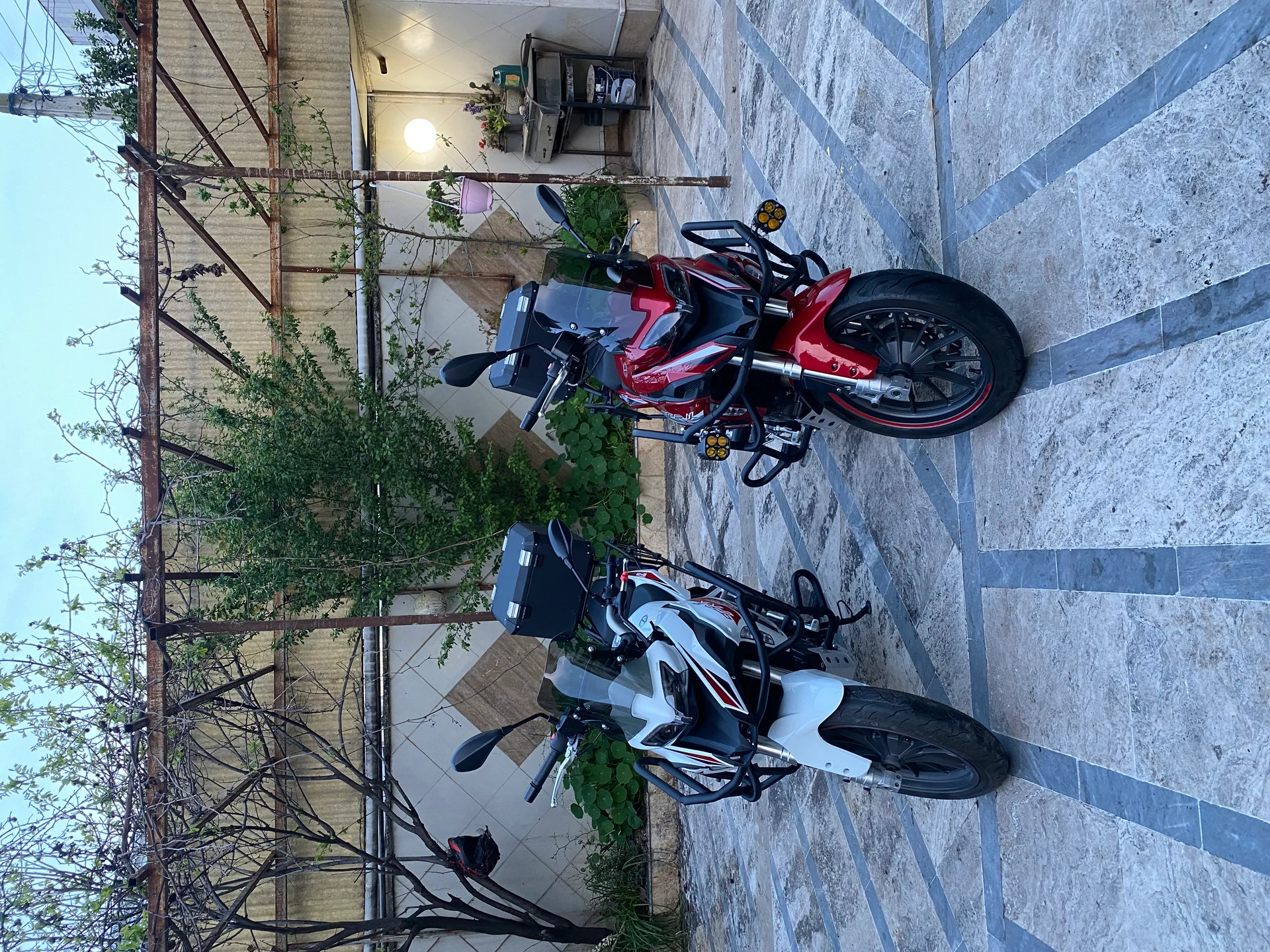 بنلی‏، TRK 249‏