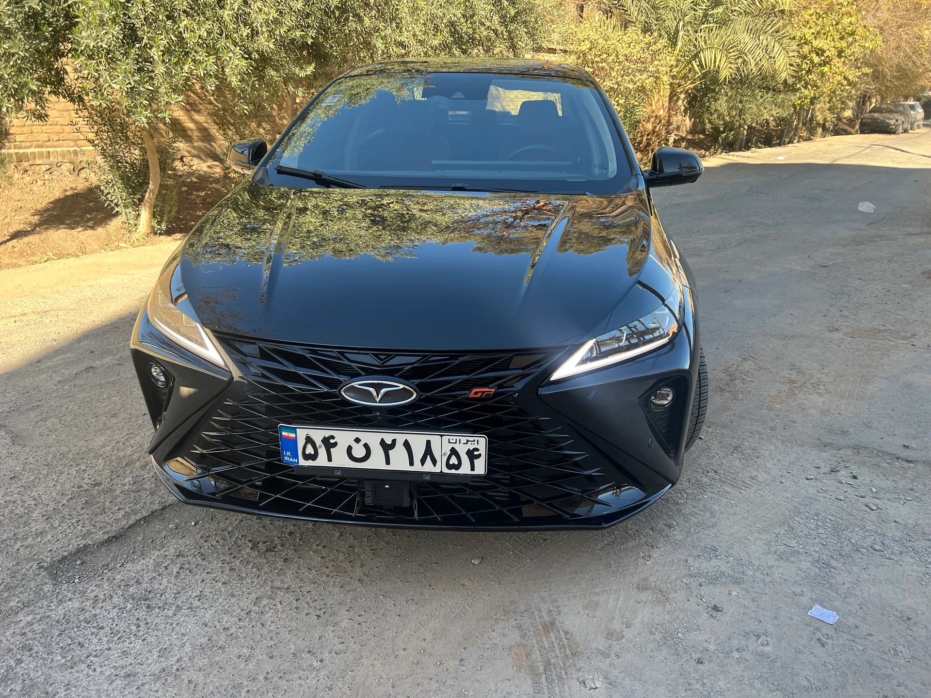 فونیکس‏، آریزو 6 جی تی‏، اکسلنت‏