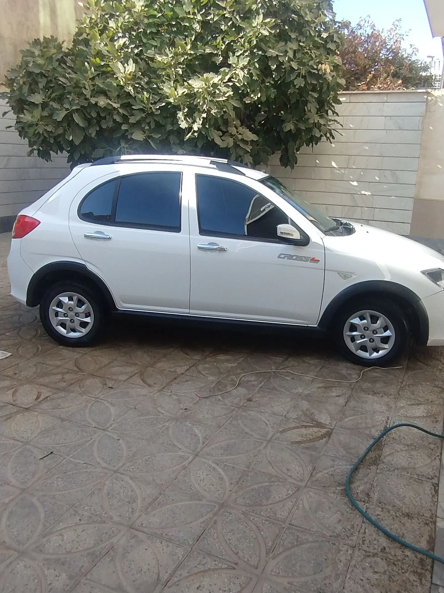 کوییک‏، دنده ای‏