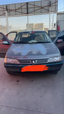 پژو‏، 405‏، GLX دوگانه سوز‏