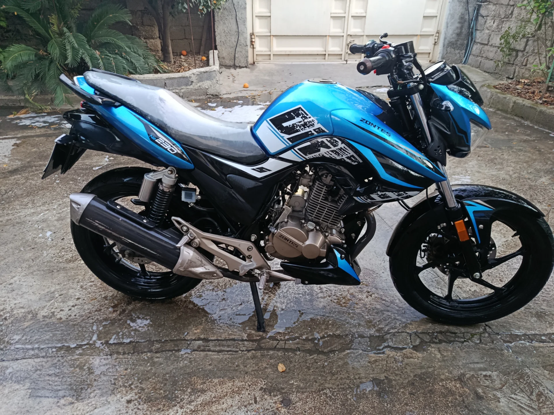 زونتس‏، N2 230‏