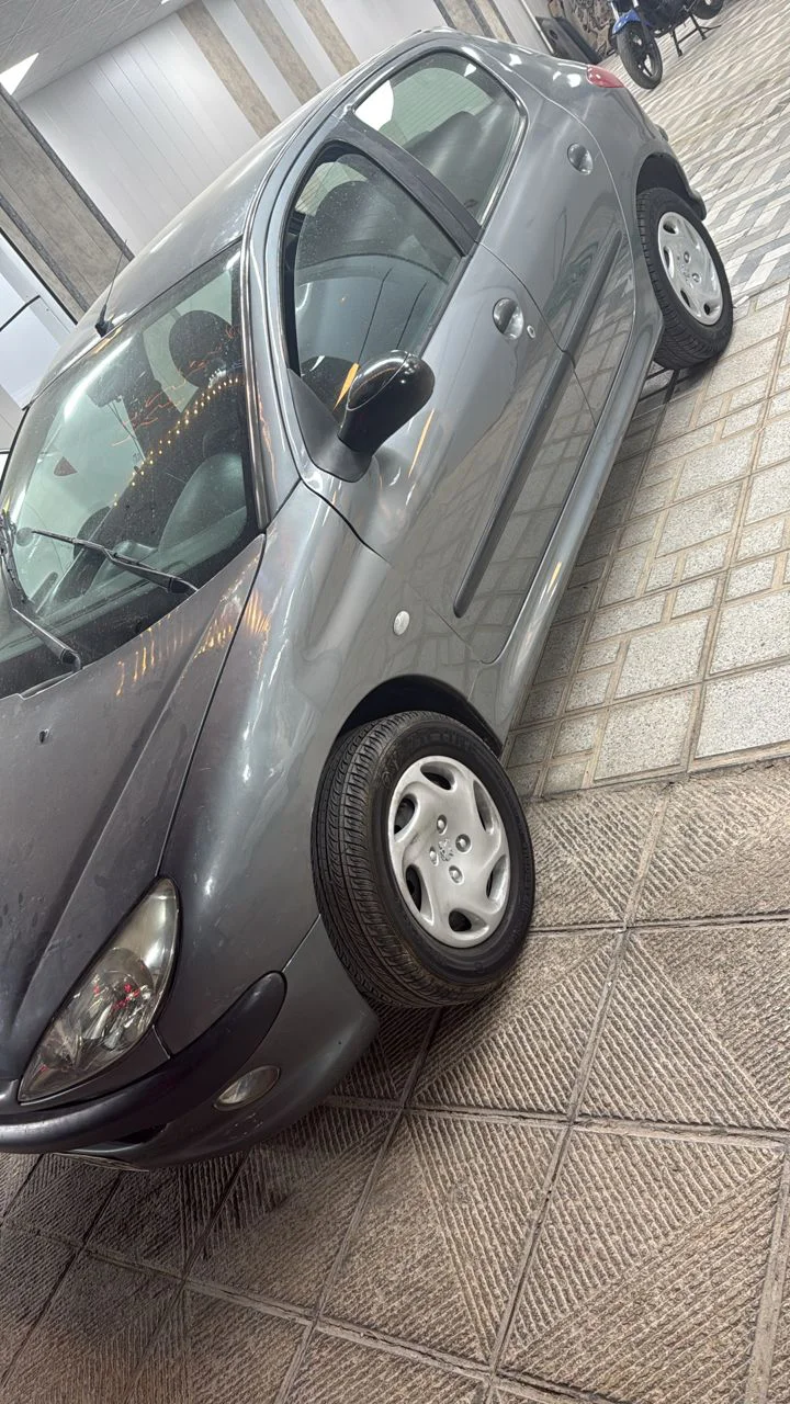 پژو‏، 206‏، تیپ 2‏