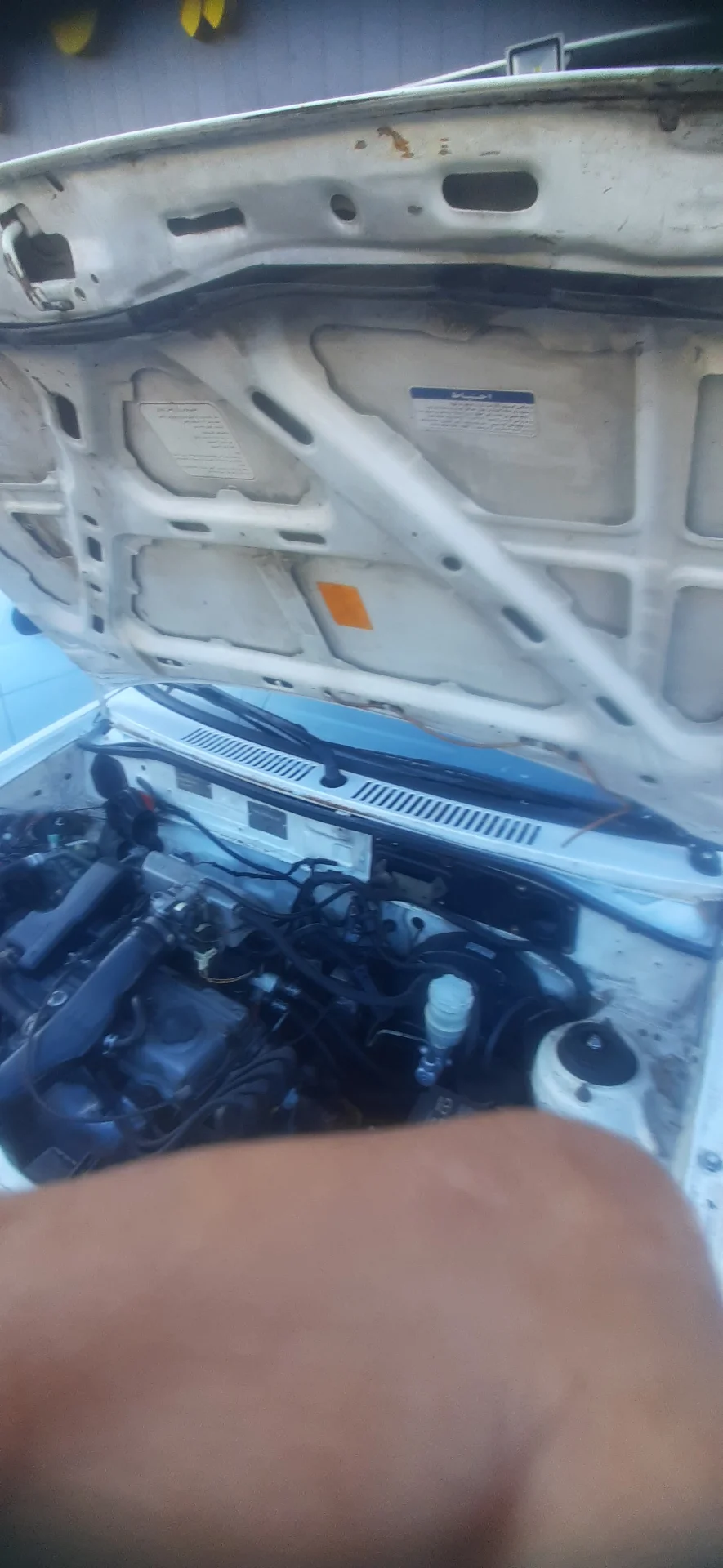 پراید‏، صندوق دار‏