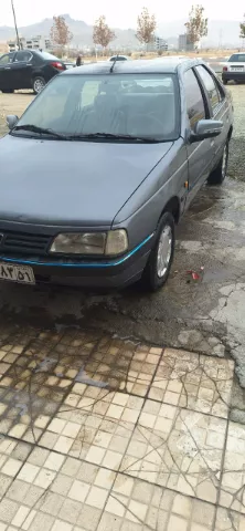 پژو‏، 405‏، GLX دوگانه سوز‏