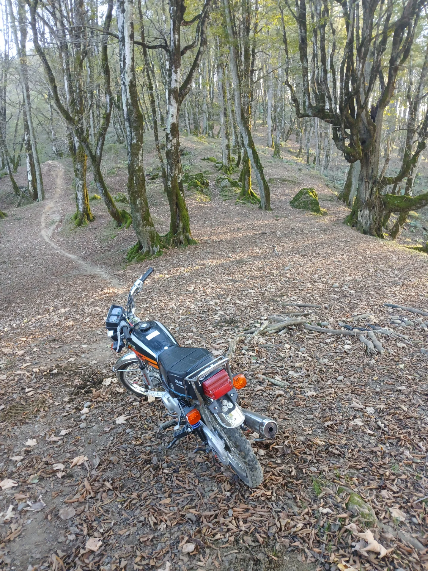 هوندا‏، کلیک 150‏