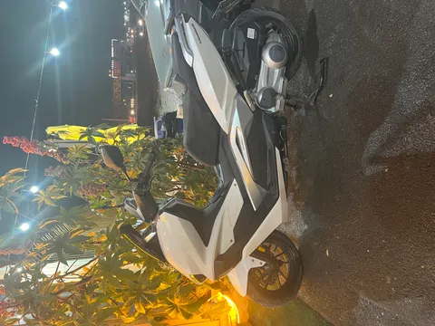 بنلی‏، TRK 249‏