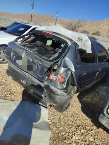 پژو‏، 206‏، تیپ 2‏