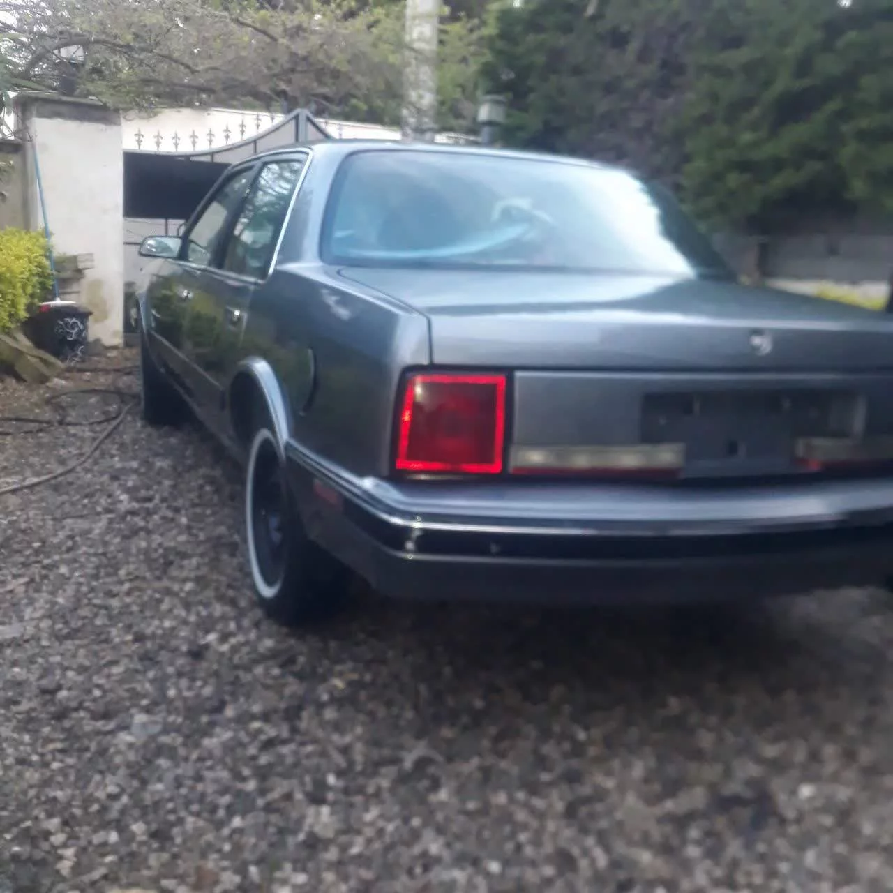 بیوک‏، گوناگون‏