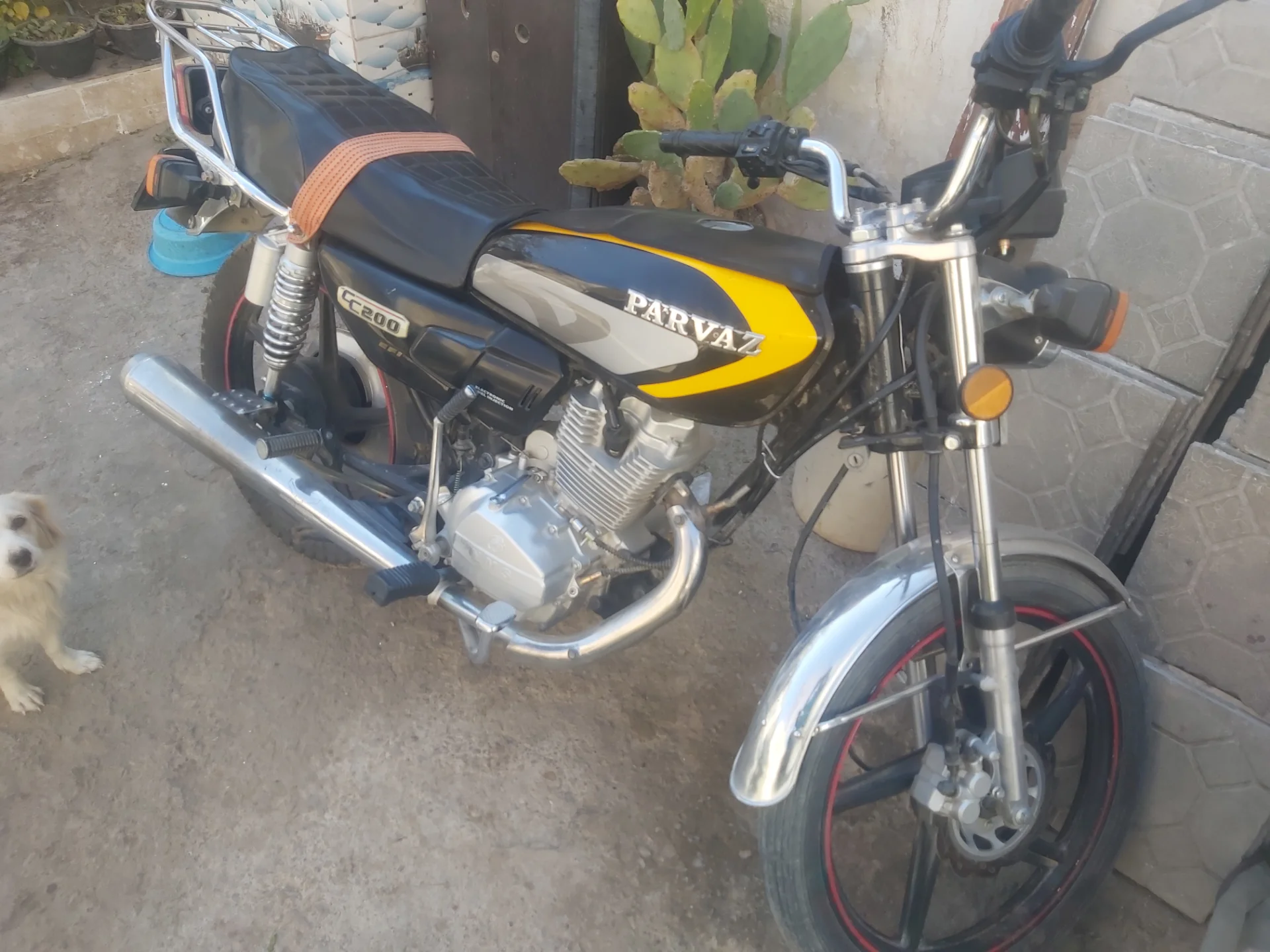 هوندا‏، CD 200‏