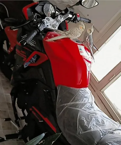 کویر موتور‏، مگلی 200‏