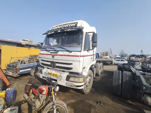 دنگ و فنگ تی 300