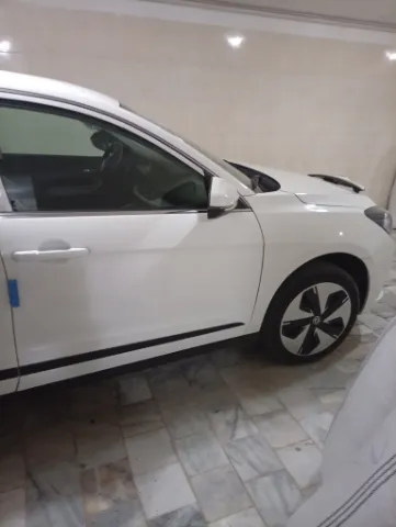 دانگ فنگ‏، S30‏