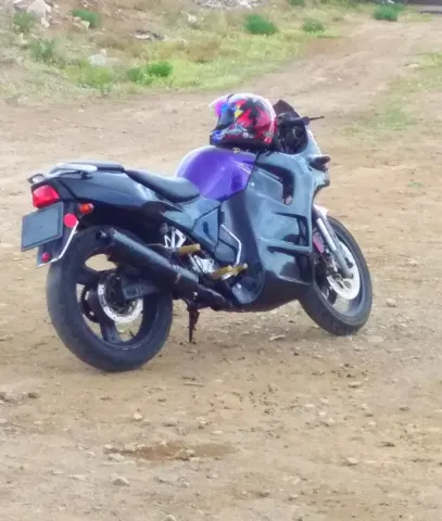 پیشرو‏، وینر‏