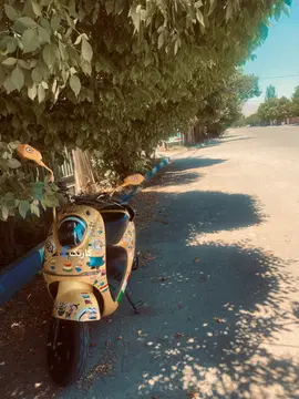 کویر موتور‏، اسکوتر برقی‏ - تصویر 2