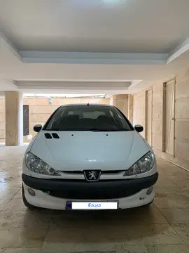 206  sd 1395 کاملا خانگی - تصویر 3