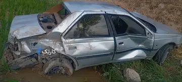 پژو‏، 405‏، GLX دوگانه سوز‏