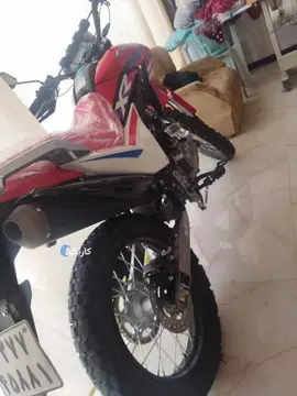 بیابانی متفرقه‏، 250‏ - تصویر 3