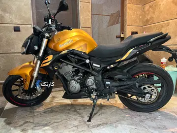 بنلی‏،طلایی نو نو - تصویر 2