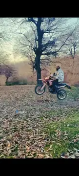کویر موتور‏، رادیسون‏ - تصویر 2