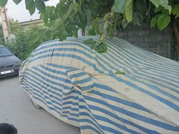 ساینا‏، EX دنده ای‏ - تصویر 2