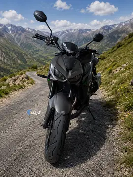 های پرو Z1000 - تصویر 3