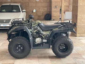 ایران دوچرخ‏، ATV250‏ - تصویر 3