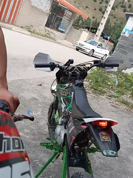 پیشرو‏، گلد‏ - تصویر 3