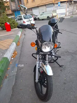 تیزپر توس‏، 200‏ - تصویر 3