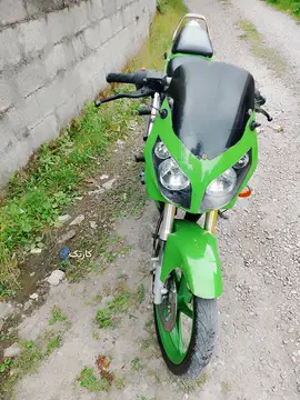 کثیر۱۵۰عروسک - تصویر 1