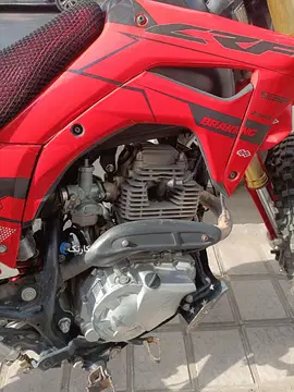 توسن محركه شرق‏، باسل 200‏ - تصویر 6