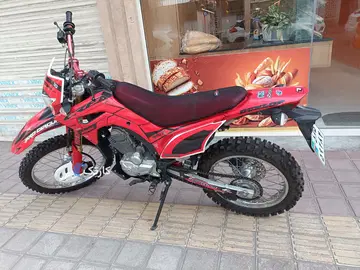 توسن محركه شرق‏، باسل 200‏ - تصویر 3