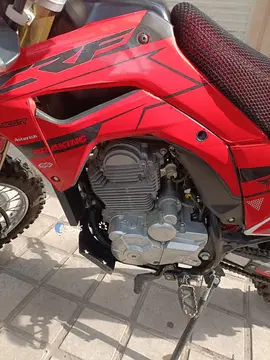 توسن محركه شرق‏، باسل 200‏ - تصویر 2