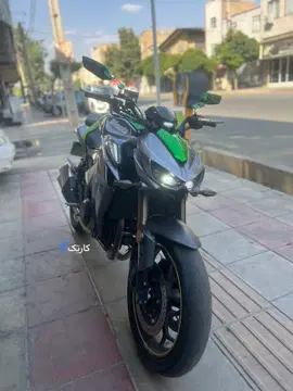های پرو‏، 250‏ - تصویر 3
