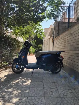 اس وای ام‏، فیدل 3‏ - تصویر 4