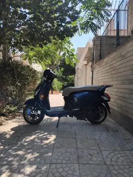 اس وای ام‏، فیدل 3‏ - تصویر 2