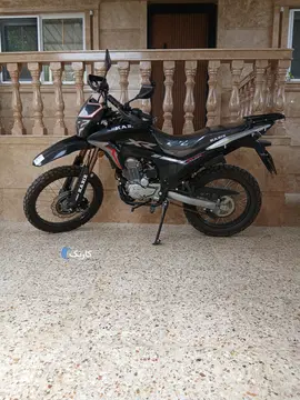 پیشرو‏، تریل 250‏ - تصویر 2