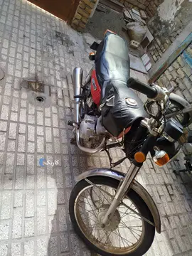 تیزپر توس‏، 125‏ - تصویر 2