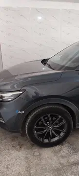 دیگنیتی‏، پرایم‏