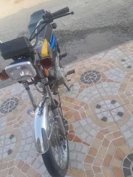 سالار گستر‏، توریست‏ - تصویر 2