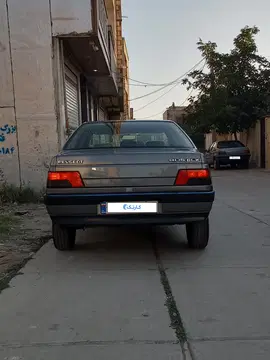 پژو‏، 405‏، GLX دوگانه سوز‏ کم کار ۱۰۱ - تصویر 5