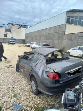 پژو‏، 206 SD‏، V8‏ - تصویر 5