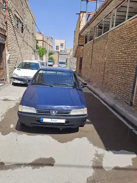 اردی سورمه ای - تصویر 2