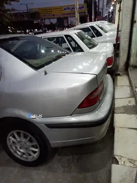 سمند نقره ای رویت رنگ۸۲ - تصویر 4