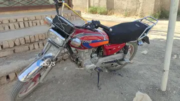 تیزپر توس‏، 200‏ - تصویر 4