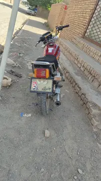 تیزپر توس‏، 200‏ - تصویر 1