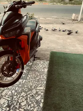 هانی موتور‏، کلیک 150‏ - تصویر 2