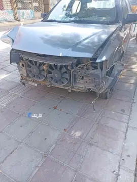 سمندتصادفی - تصویر 2