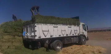 رنو میدلام - تصویر 5