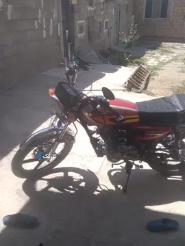 باسیل 1404 - تصویر 3